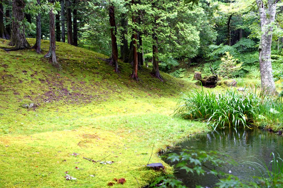 Kumoba-ike - Karuizawa, Japan - DSC02139