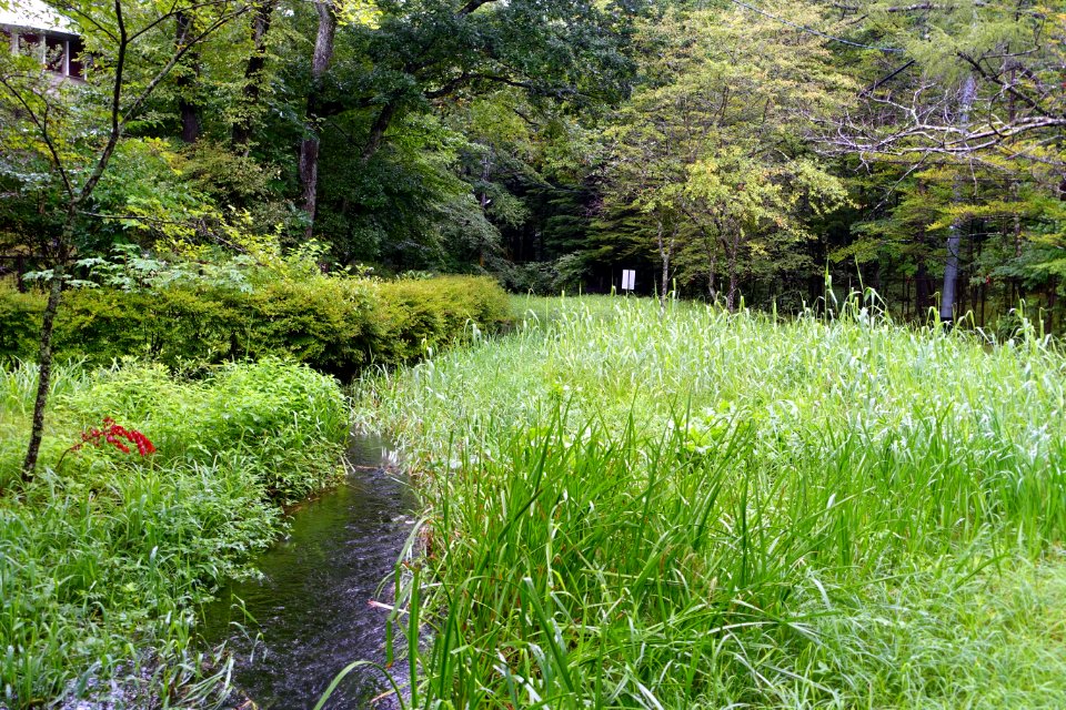 Kumoba-ike - Karuizawa, Japan - DSC02163