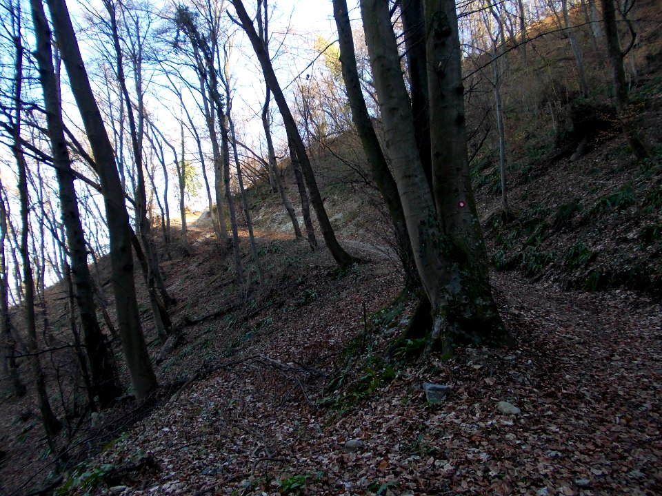 Kunšperk 44