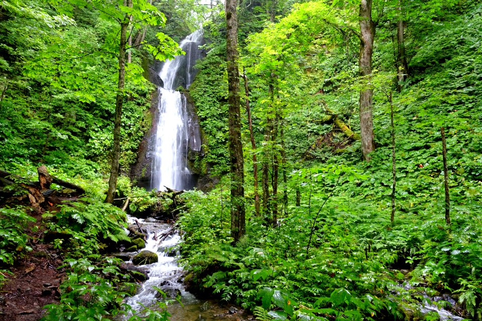 Kumoi Falls - Oirase Mountain Stream - Towada, Aomori - DSC01212