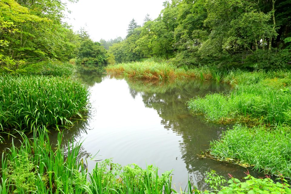 Kumoba-ike - Karuizawa, Japan - DSC02184