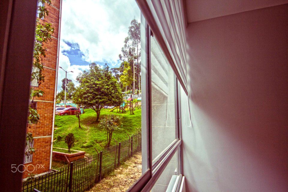 Domingo (162486193)