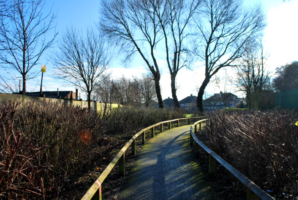 Dodds Park Entrance