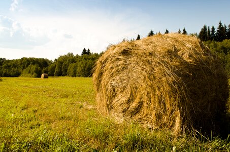 Straw agriculture haystack photo