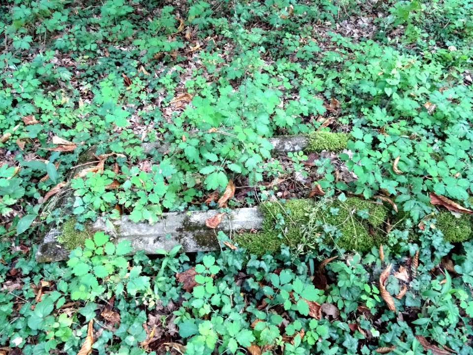 Dobromierz cmpowang1 7-2015