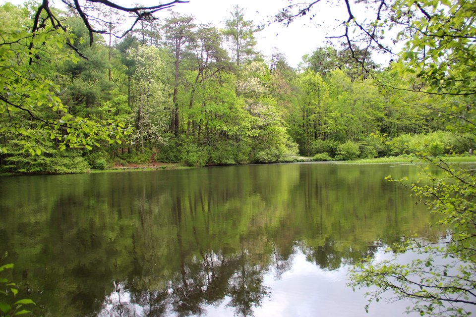 Dockery Lake, Georgia April 2017 1
