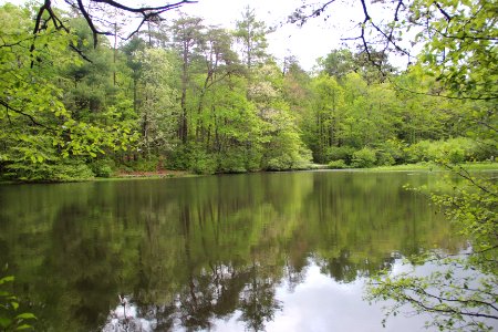 Dockery Lake, Georgia April 2017 1