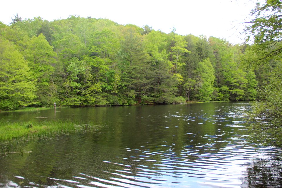 Dockery Lake, Georgia April 2017 3