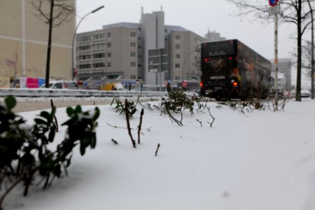 Dominicusstraße Berlin-Schöneberg with snow 2021-02-08 05 photo