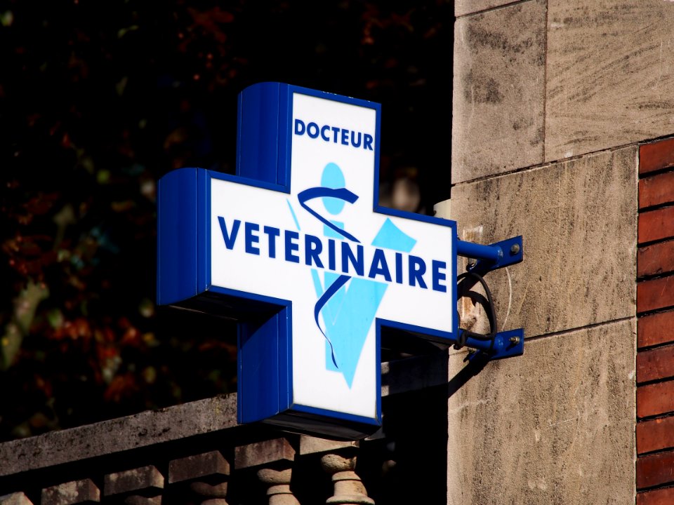 Docteur Veterinaire