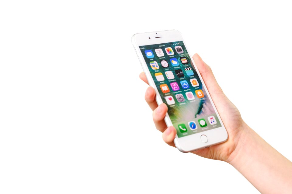 Application apple business