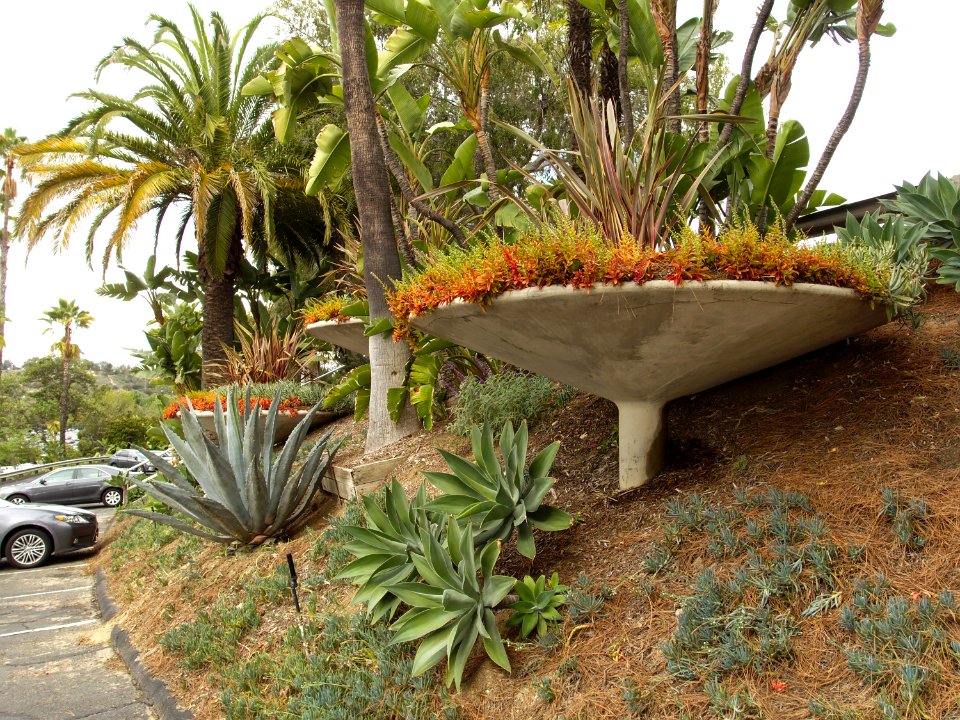 Dodger Stadium landscaping 2015-10-04