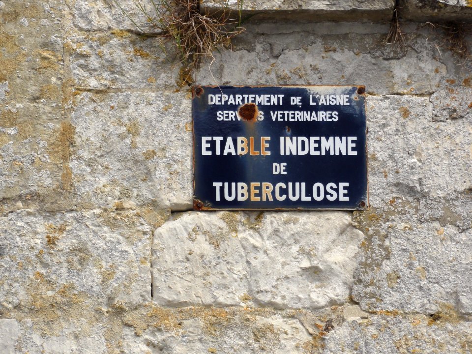Dizy-le-Gros (Aisne) plaque historique tuberculose