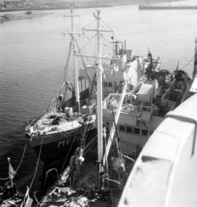Diverse schepen, waaronder marineschepen, liggen in een haven, Bestanddeelnr 934-5133