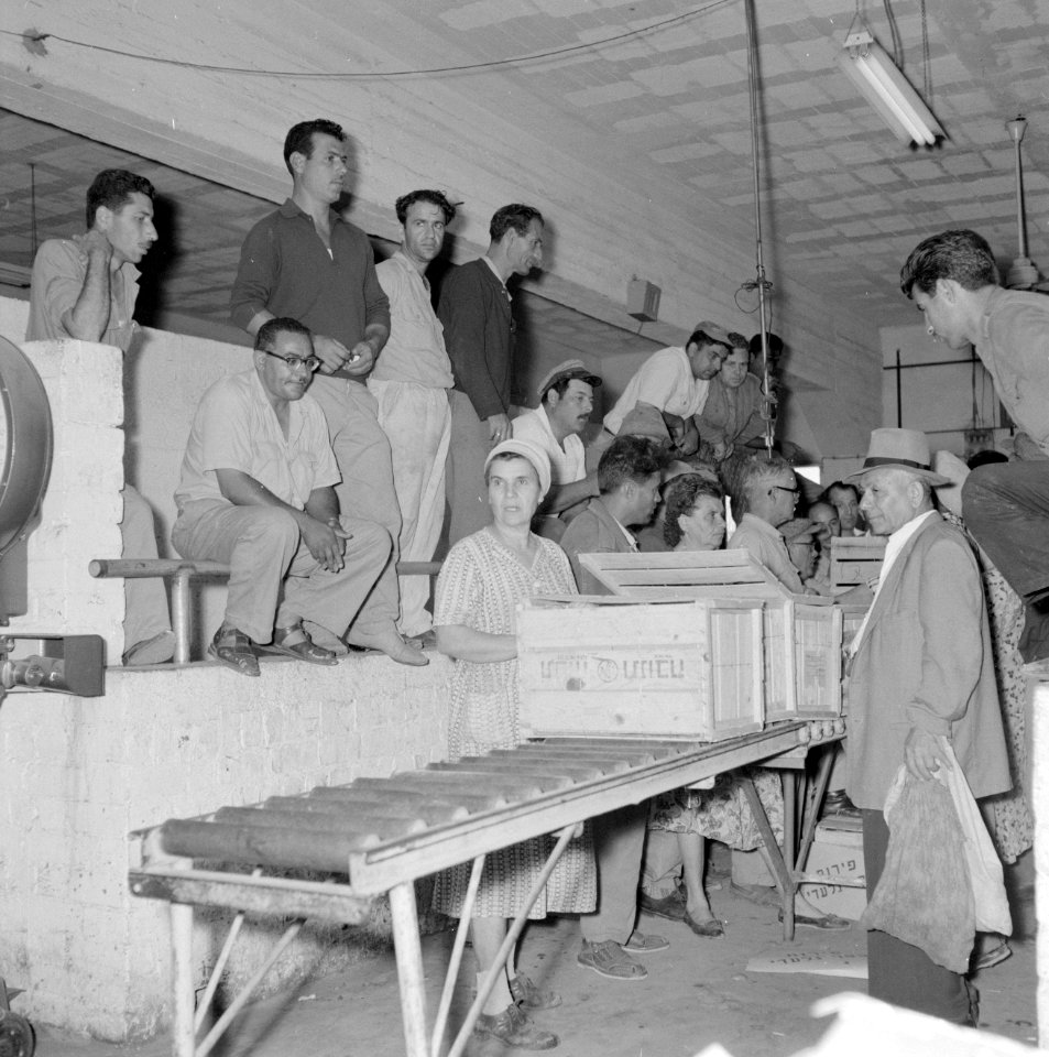 Diverse kisten met groente enof fruit worden bekeken op een veiling, eromheen s, Bestanddeelnr 255-1908