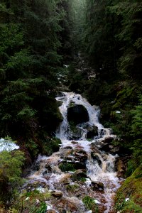 Dobelbach Northern Black Forest 2020-03-11 09