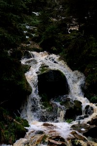 Dobelbach Northern Black Forest 2020-03-11 12