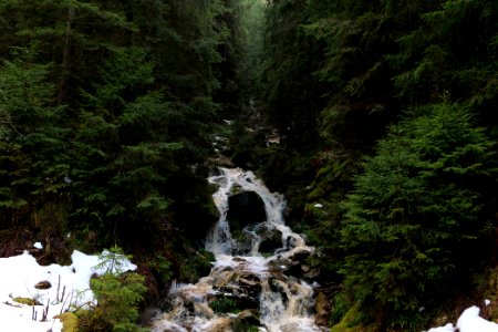 Dobelbach Northern Black Forest 2020-03-11 03