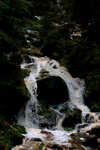 Dobelbach Northern Black Forest 2020-03-11 11