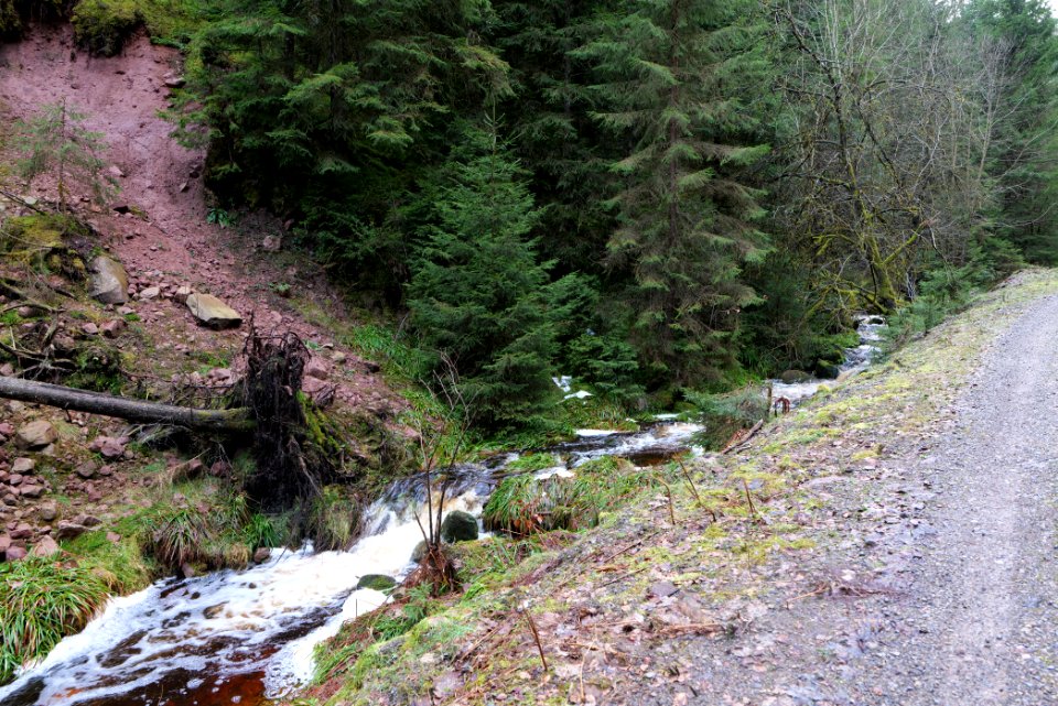 Dobelbach Northern Black Forest 2020-03-11 13