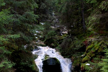 Dobelbach Northern Black Forest 2020-03-11 02