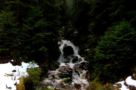 Dobelbach Northern Black Forest 2020-03-11 07