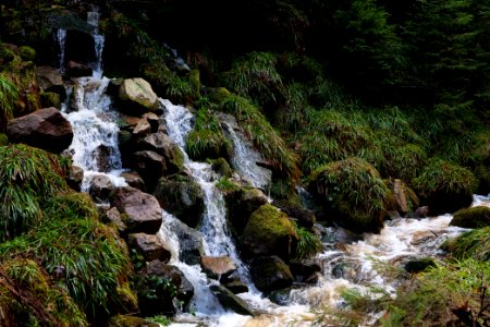 Dobelbach Northern Black Forest 2020-03-11 22