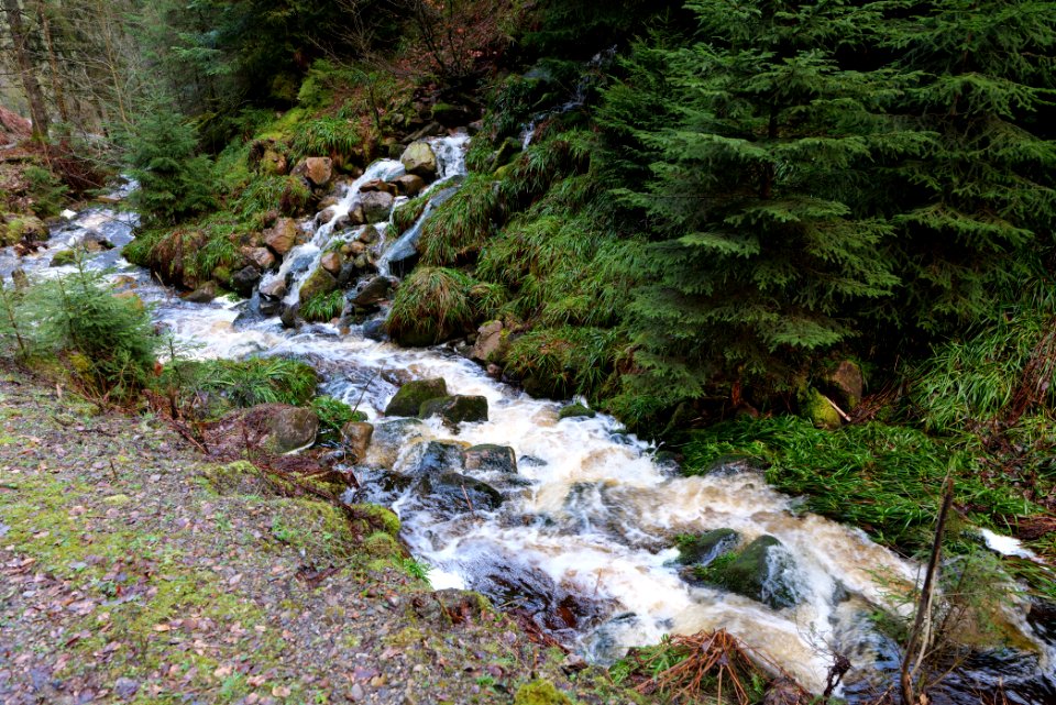 Dobelbach Northern Black Forest 2020-03-11 14
