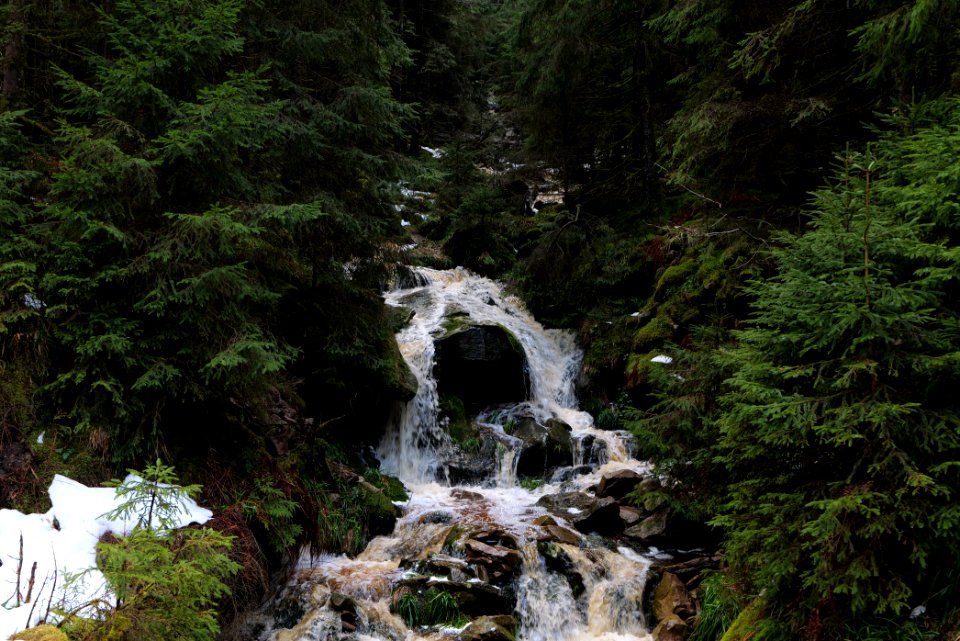 Dobelbach Northern Black Forest 2020-03-11 06