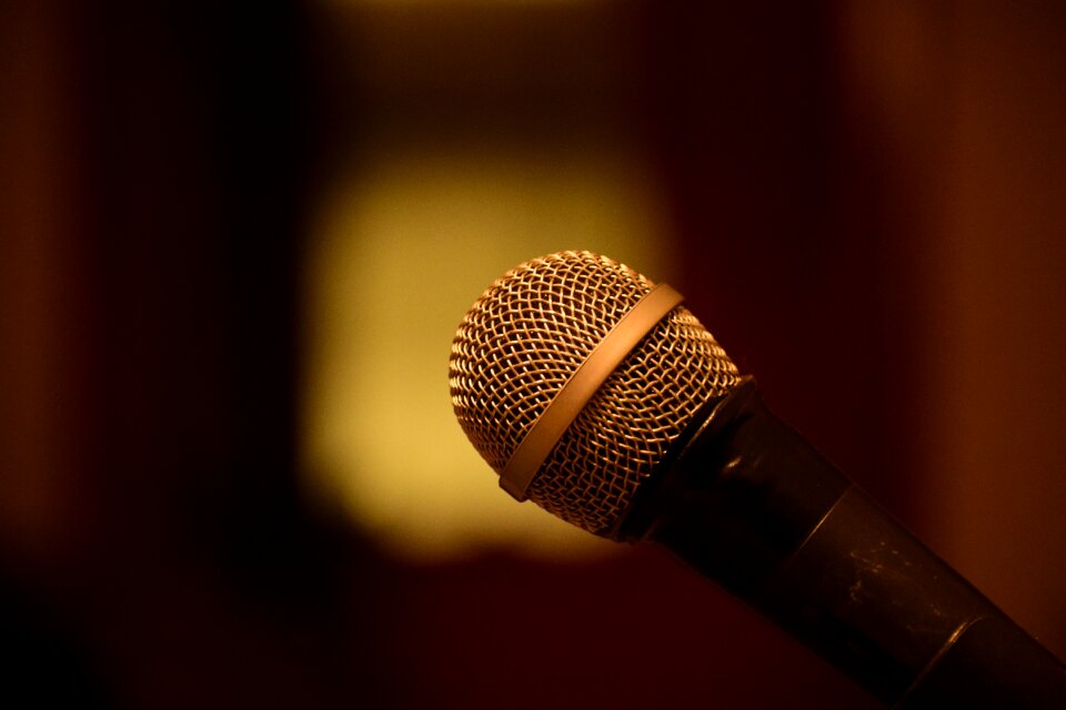 Karaoke voice music