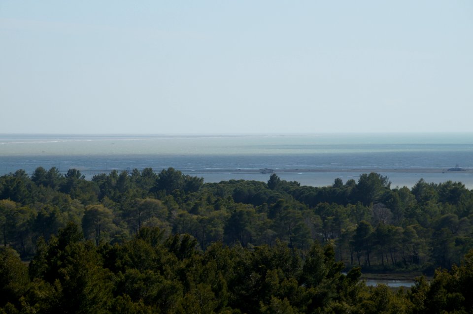 Divjaka Bay from tower (OSCAL19 trip)