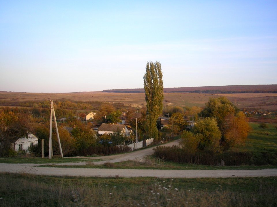 DolinnoeKir 18