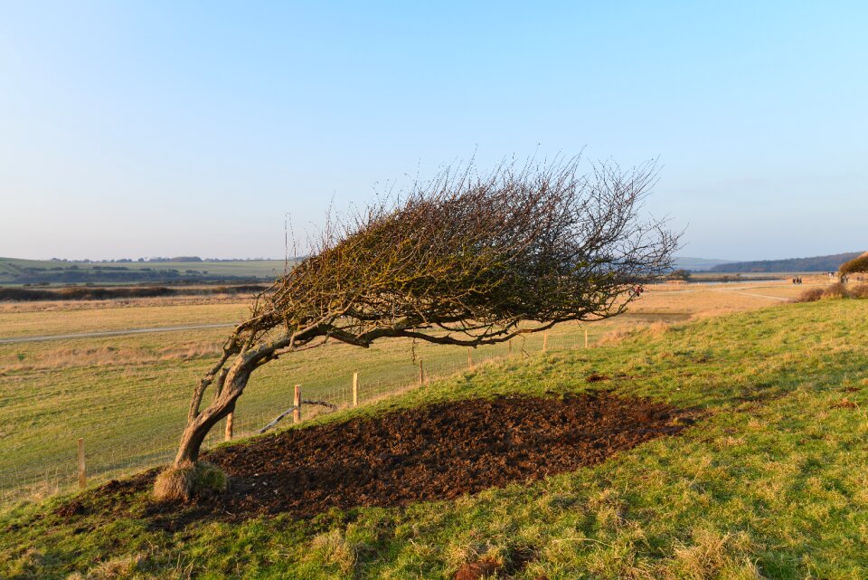 Nature memory scenery