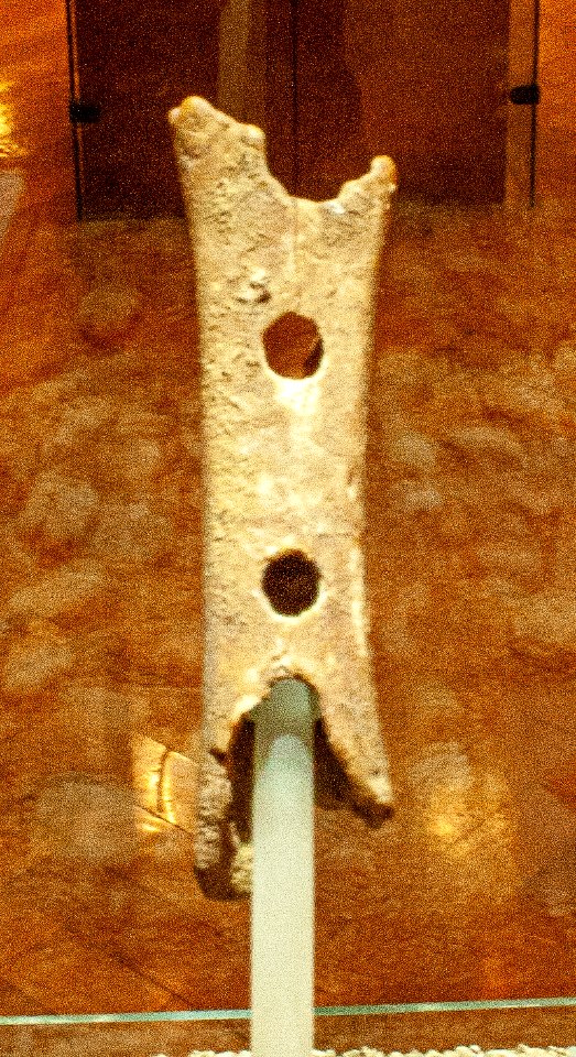 Divje Babe flute in the National Museum of Slovenia 01