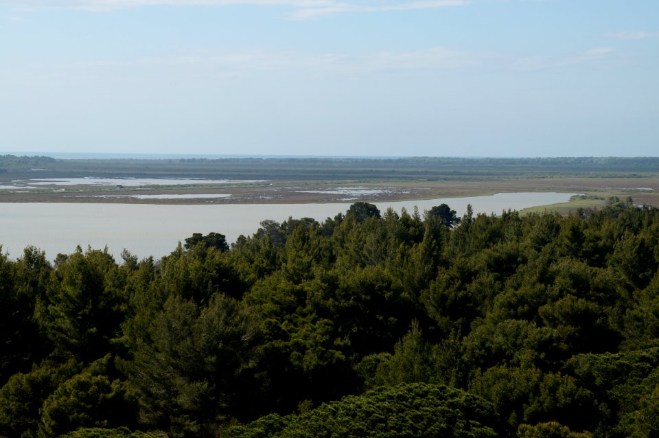 Divjaka Godulla from tower (OSCAL19 trip)
