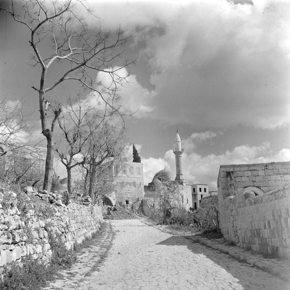 Dorpsgezicht met een moskee, een minaret en enkele huizen en muren langs een weg, Bestanddeelnr 255-1191