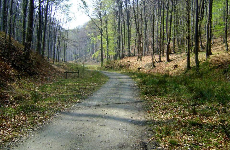 Dolina Kamienna mit