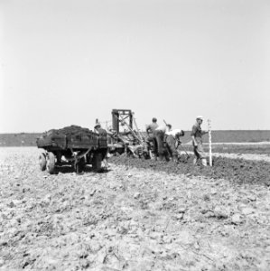Drainage, arbeiders, werkzaamheden, Bestanddeelnr 160-0366