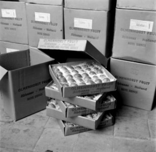 Dozen met peren op kwekerij de Olmenhorst in Abbenes, Bestanddeelnr 254-5346