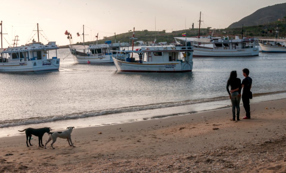 Dog and peoples in love, Juan Griego sunset