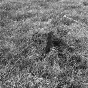 Drainage, grasland, sleuven, wijhe olde de, Bestanddeelnr 160-0538
