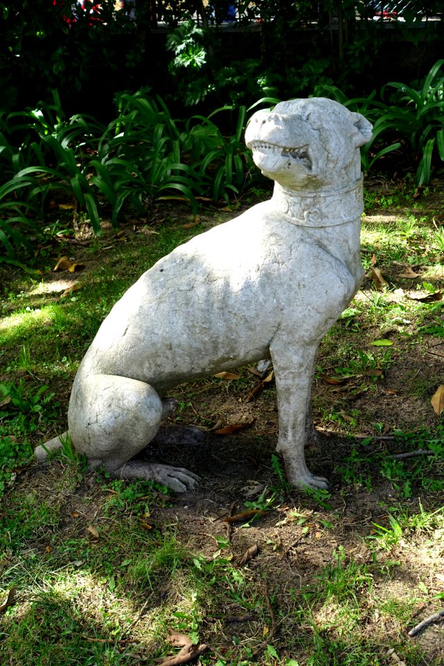 Dog - Jardim Botânico Tropical - Lisbon, Portugal - DSC06632