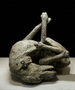 Dog in chains cast Pompeii Museum Boscoreale