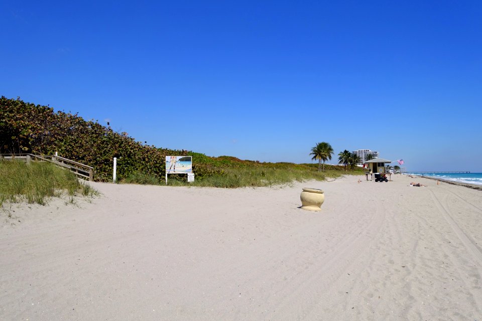 Dog Beach - Hollywood, Florida - DSC08787
