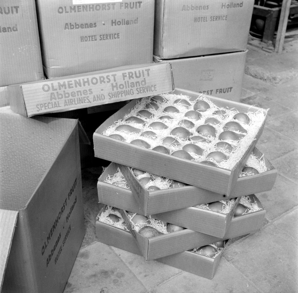Dozen met peren op kwekerij de Olmenhorst in Abbenes, Bestanddeelnr 254-5345