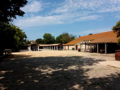 Domaine de Méjanes - Tables de pique-nique