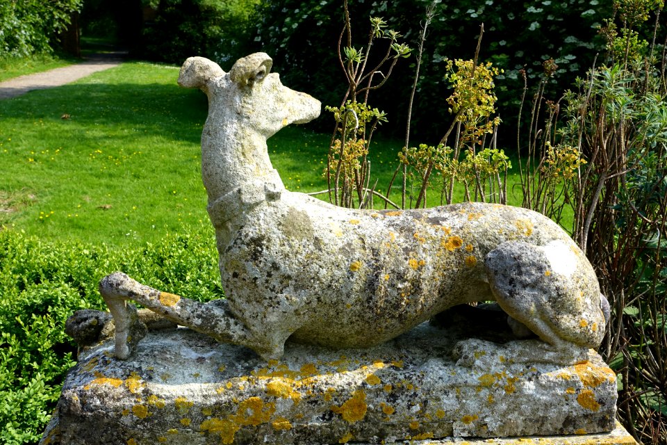 Dog - Bentley Wildfowl and Motor Museum - Halland, East Sussex, England - DSC05840