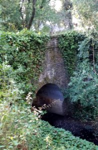 Doyle Park Drive bridge over Spring Creek