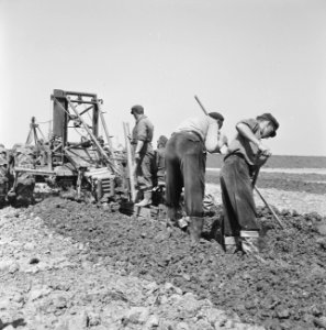 Drainage, arbeiders, werkzaamheden, Bestanddeelnr 160-0369