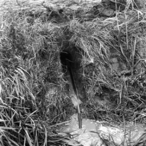 Drainage, buizen, reinigingen, slangen, water, Bestanddeelnr 160-0391